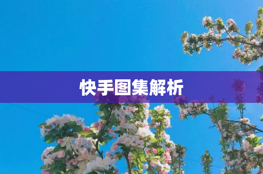 快手图集解析
