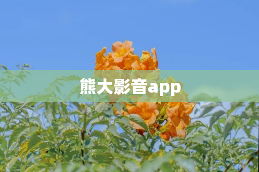 熊大影音app