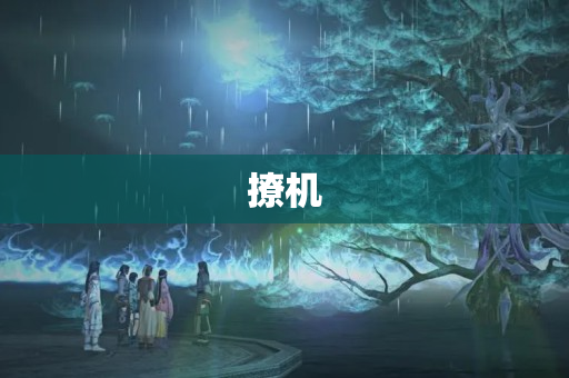 撩机