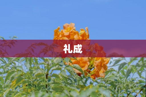 礼成