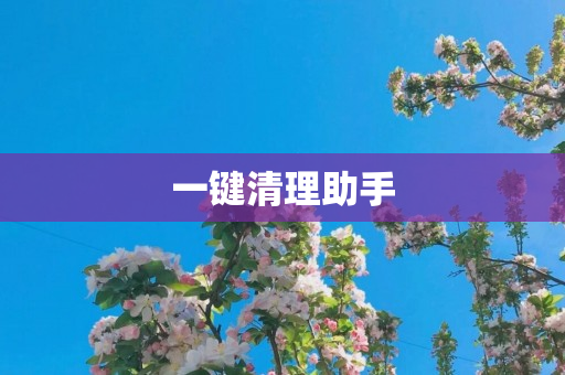 一键清理助手