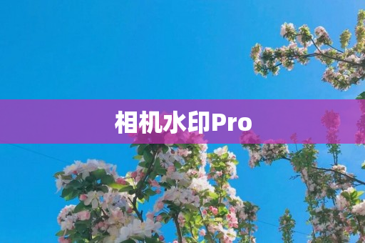 相机水印Pro