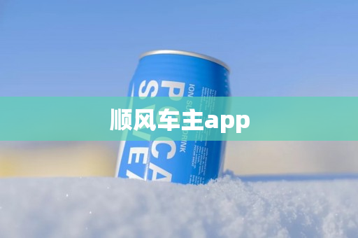顺风车主app