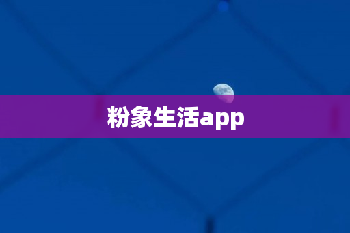 粉象生活app