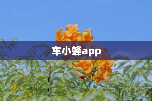 车小蜂app