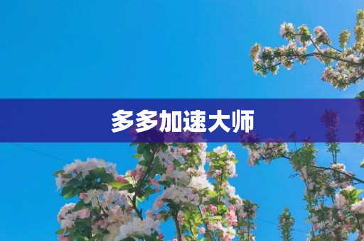 多多加速大师