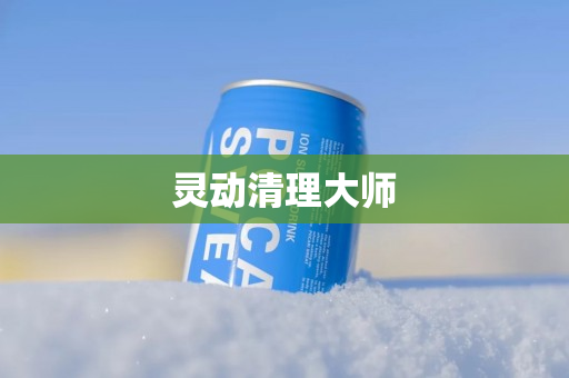 灵动清理大师