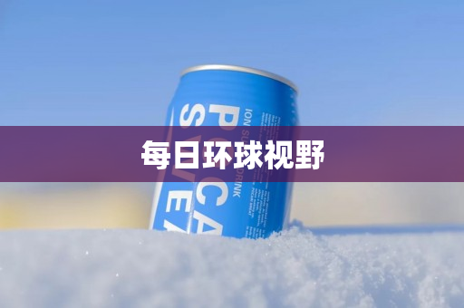 每日环球视野