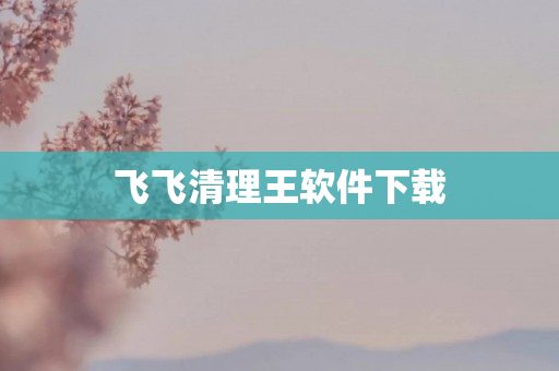 飞飞清理王软件下载