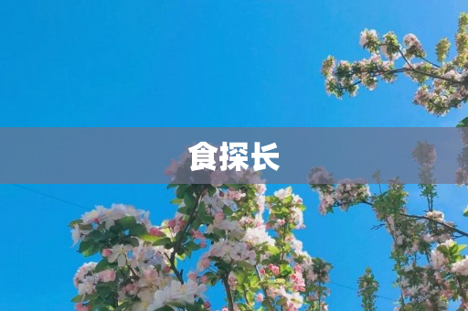 食探长
