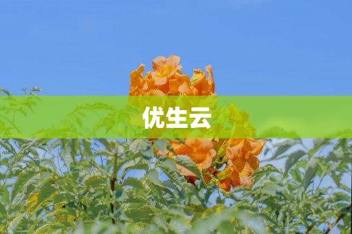 优生云