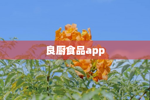 良厨食品app
