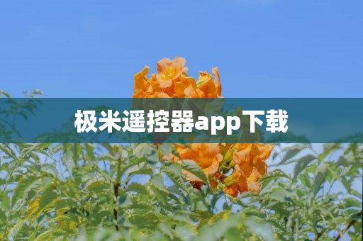 极米遥控器app下载