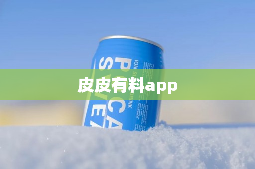 皮皮有料app