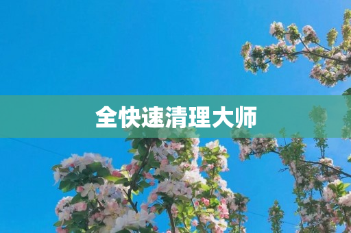 全快速清理大师