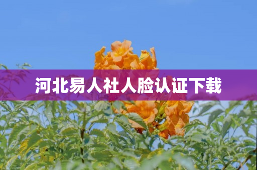 河北易人社人脸认证下载