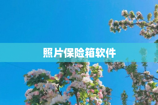 照片保险箱软件