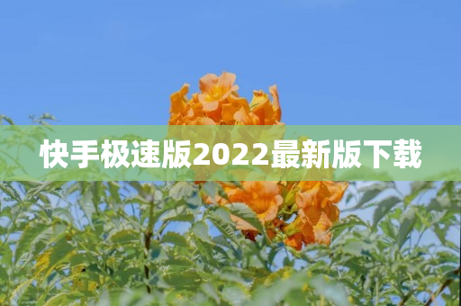 快手极速版2022最新版下载
