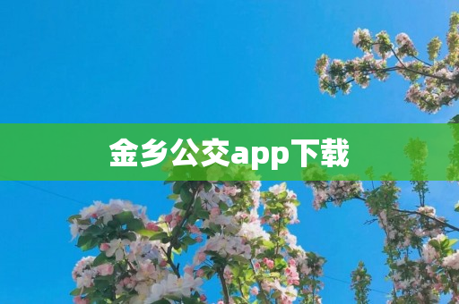 金乡公交app下载