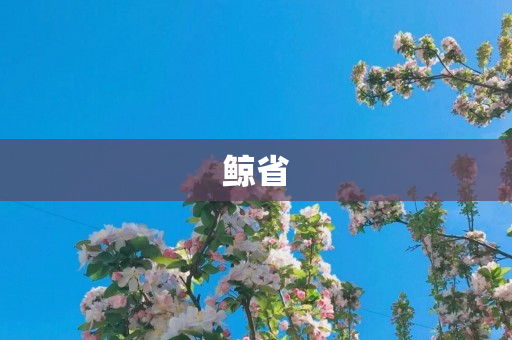 鲸省