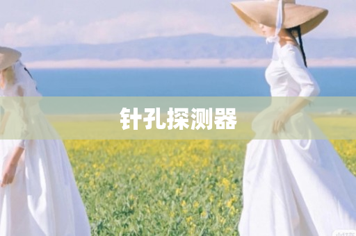 针孔探测器