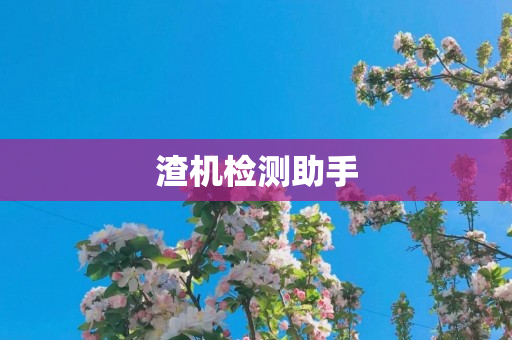 渣机检测助手