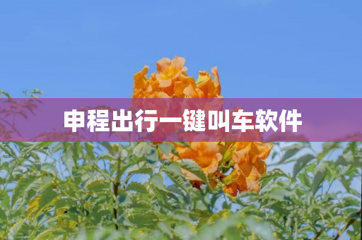 申程出行一键叫车软件