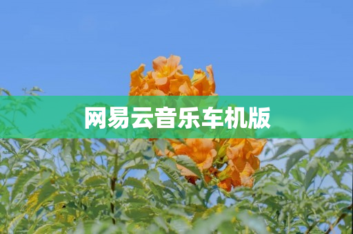 网易云音乐车机版