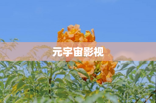 元宇宙影视