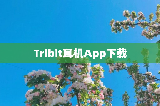Tribit耳机App下载