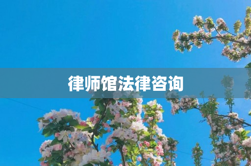 律师馆法律咨询