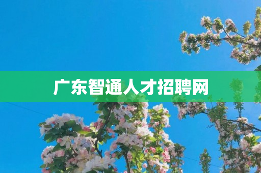 广东智通人才招聘网