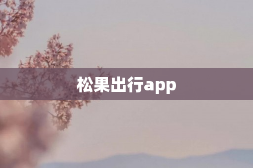 松果出行app