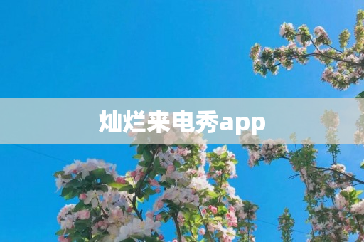 灿烂来电秀app