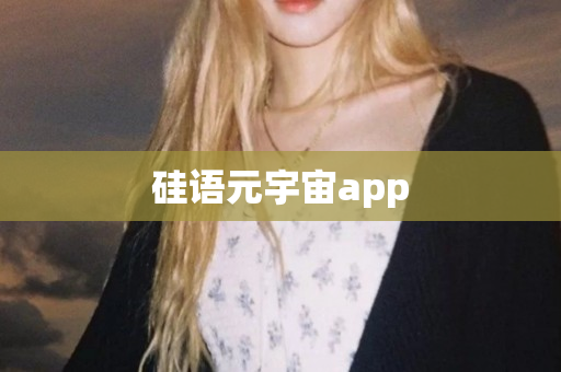 硅语元宇宙app