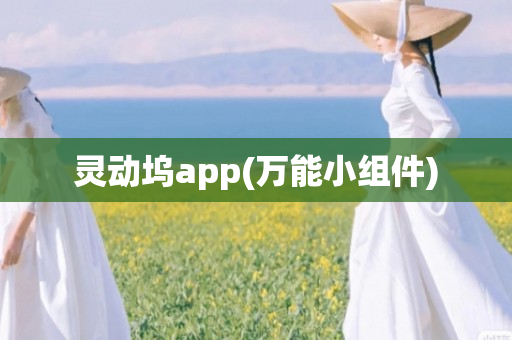灵动坞app(万能小组件)