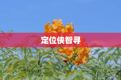 定位侠智寻