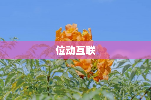 位动互联