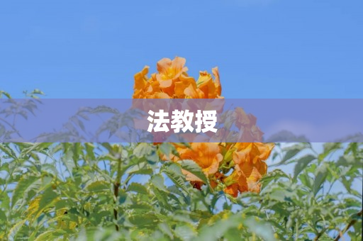 法教授