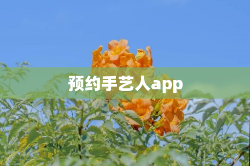 预约手艺人app