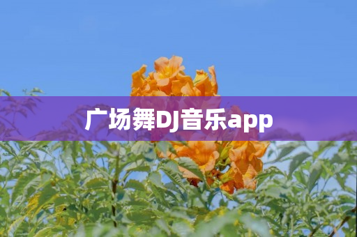 广场舞DJ音乐app