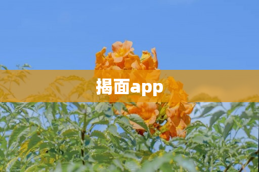 揭面app