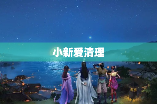 小新爱清理
