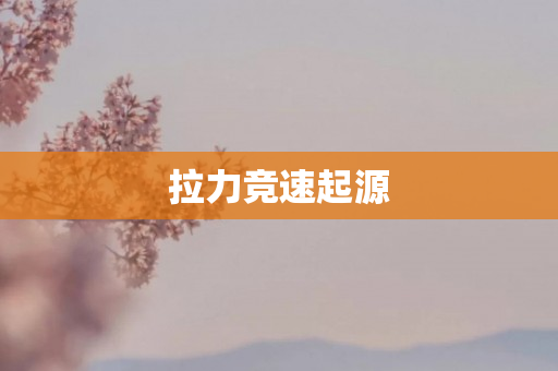 拉力竞速起源