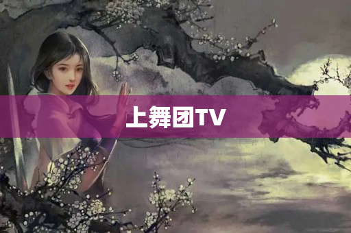 上舞团TV
