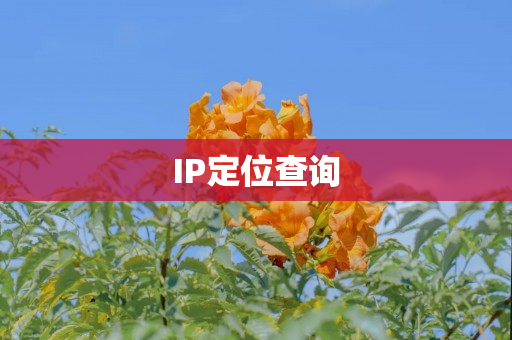 IP定位查询