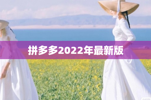 拼多多2022年最新版
