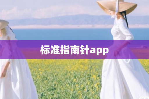 标准指南针app