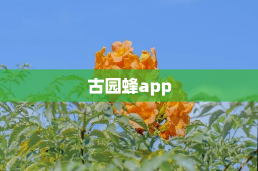 古园蜂app