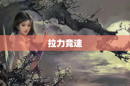 拉力竞速